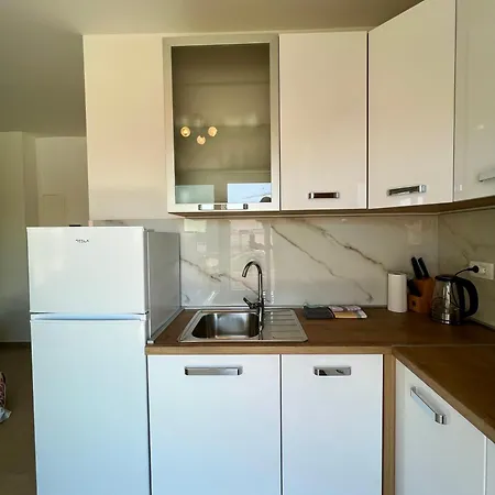Apartman Wild Rose *